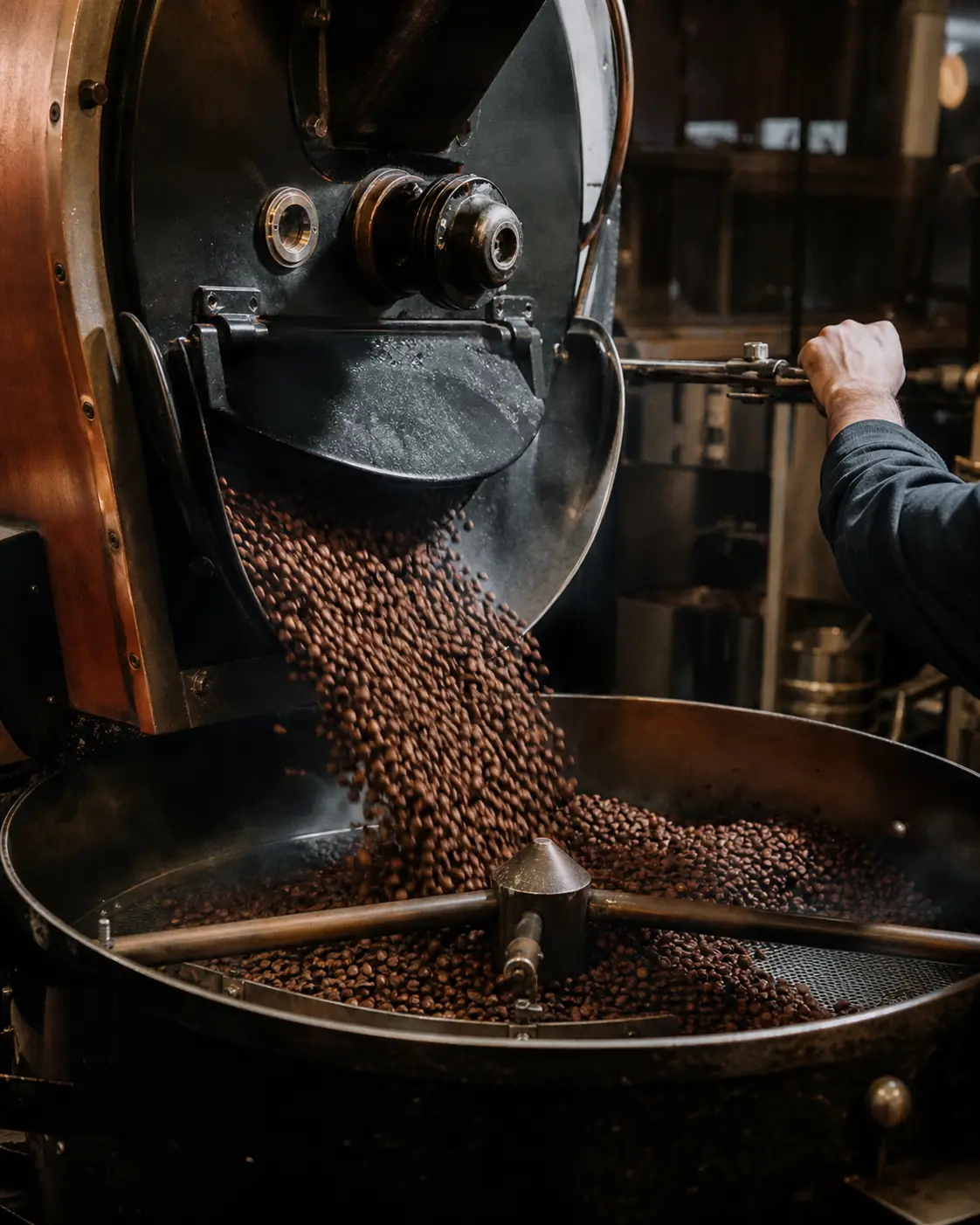 Fresh coffee beans dropping from a drum roaster into a cooling tray